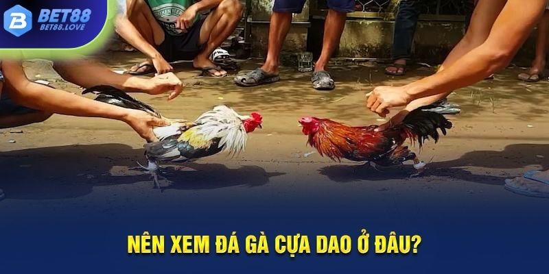 Bạn có thể yên tâm cá cược đá gà tại Bet88