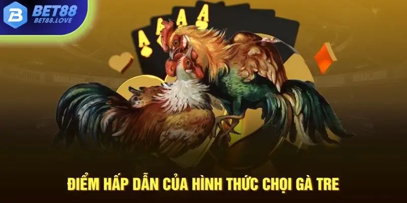 Điểm hấp dẫn của hình thức chọi gà tre