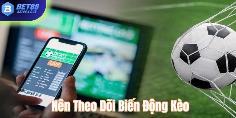 Hội viên nên theo dõi biến động kèo để đưa ra quyết định chính xác nhất